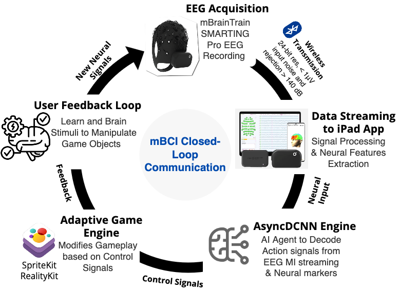 mBCI Closed Loop